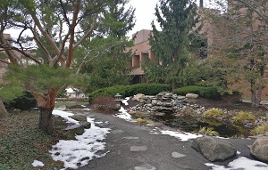 Koi Pond